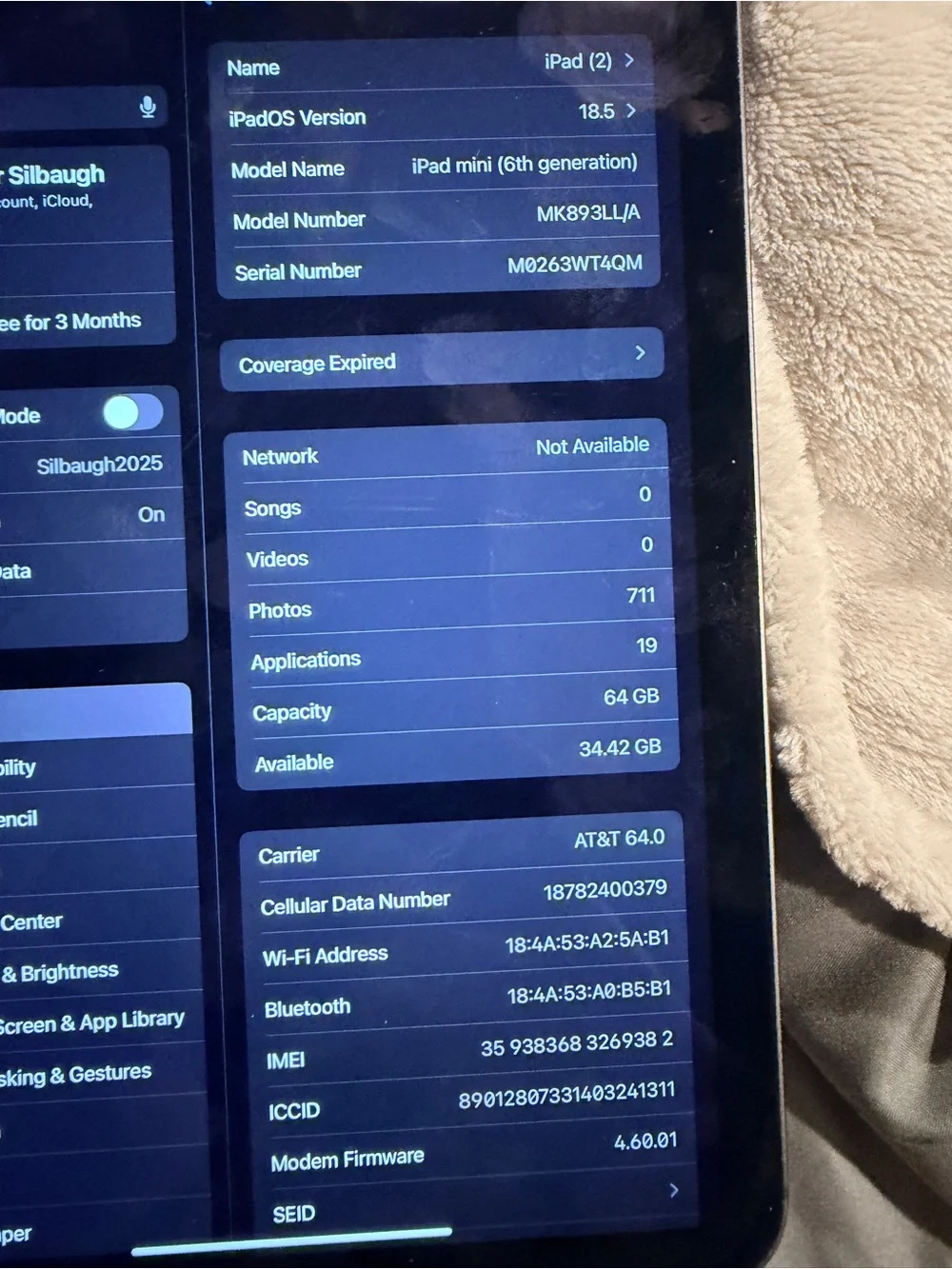 Apple ipad sleek